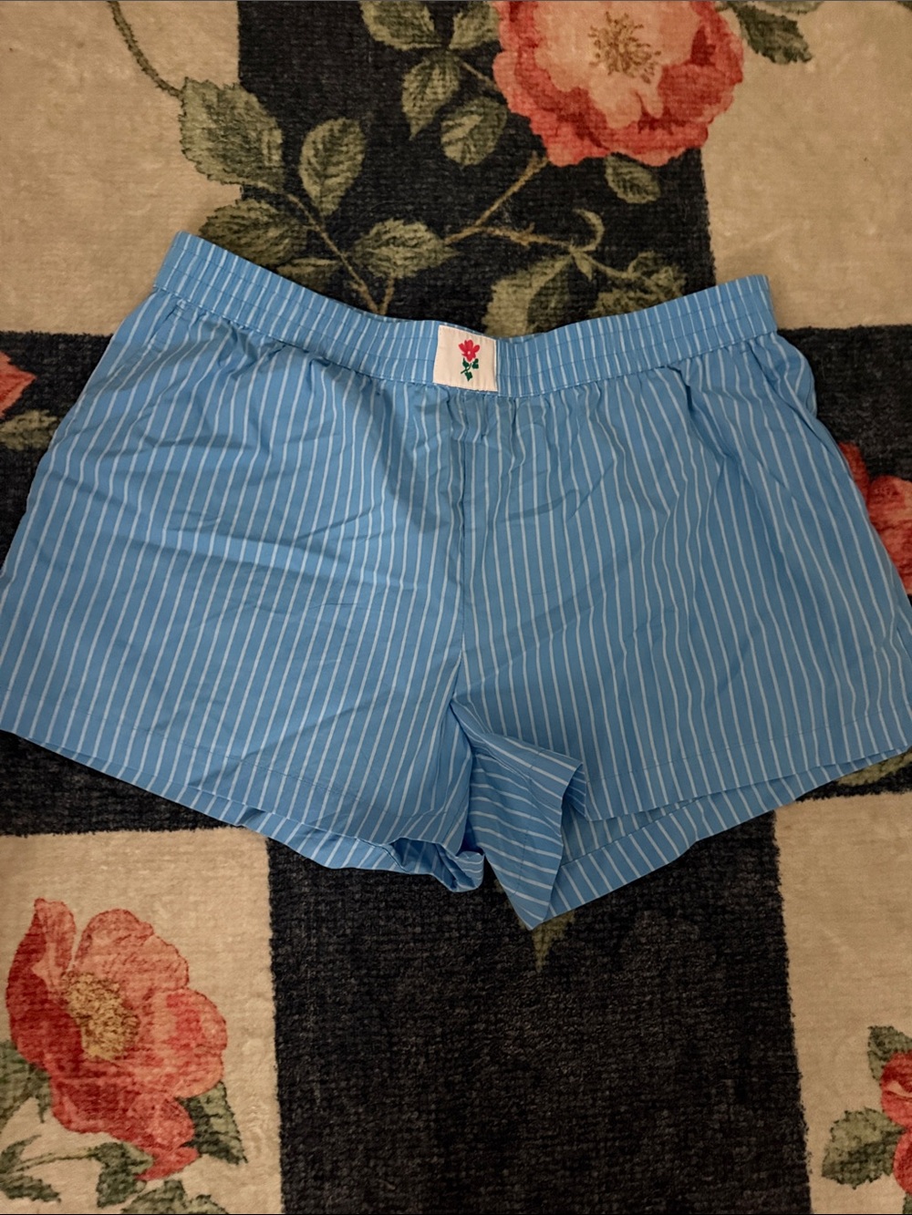 Blue Stripe Women’s Shorts